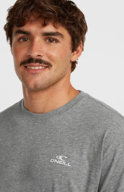 Homme O'Neill T-Shirts|Protection Anti-Uv-HommesT-shirt Small Logo| Gris