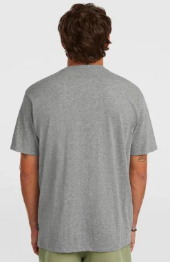 Homme O'Neill T-Shirts|Protection Anti-Uv-HommesT-shirt Small Logo| Gris