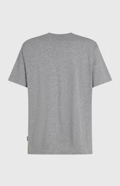 Homme O'Neill T-Shirts|Protection Anti-Uv-HommesT-shirt Small Logo| Gris