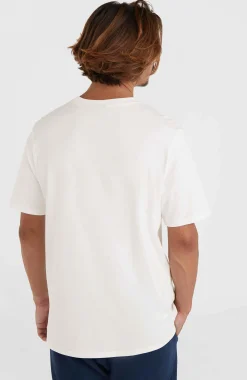 Homme O'Neill T-Shirts|Protection Anti-Uv-HommesT-shirt Small Logo| Blanc