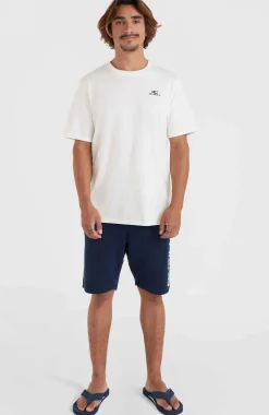 Homme O'Neill T-Shirts|Protection Anti-Uv-HommesT-shirt Small Logo| Blanc