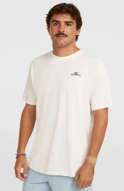 Homme O'Neill T-Shirts|Protection Anti-Uv-HommesT-shirt Small Logo| Blanc