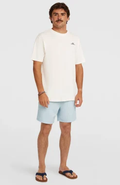 Homme O'Neill T-Shirts|Protection Anti-Uv-HommesT-shirt Small Logo| Blanc
