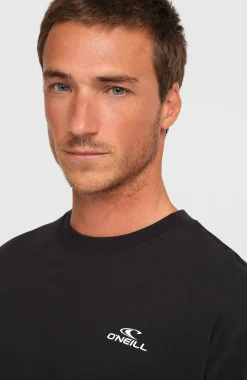 Homme O'Neill T-Shirts|Protection Anti-Uv-HommesT-shirt Small Logo| Noire