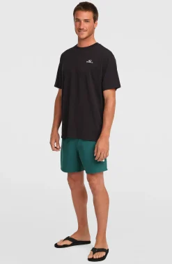 Homme O'Neill T-Shirts|Protection Anti-Uv-HommesT-shirt Small Logo| Noire