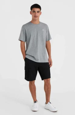 Homme O'Neill T-Shirts|Protection Anti-Uv-HommesT-shirt Small Logo| Gris