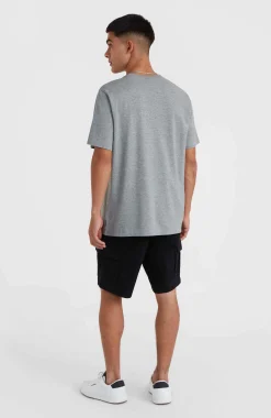 Homme O'Neill T-Shirts|Protection Anti-Uv-HommesT-shirt Small Logo| Gris