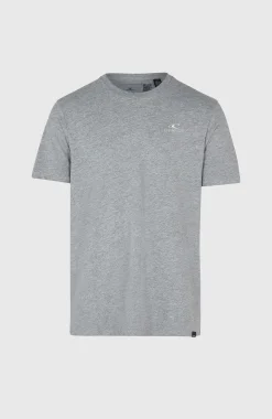 Homme O'Neill T-Shirts|Protection Anti-Uv-HommesT-shirt Small Logo| Gris