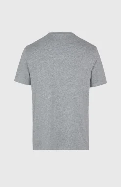 Homme O'Neill T-Shirts|Protection Anti-Uv-HommesT-shirt Small Logo| Gris