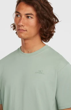 Homme O'Neill T-Shirts|Protection Anti-Uv-HommesT-shirt Small Logo| Vert