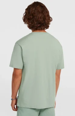 Homme O'Neill T-Shirts|Protection Anti-Uv-HommesT-shirt Small Logo| Vert