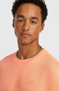Homme O'Neill T-Shirts|Protection Anti-Uv-HommesT-shirt Small Logo| Orange