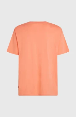 Homme O'Neill T-Shirts|Protection Anti-Uv-HommesT-shirt Small Logo| Orange