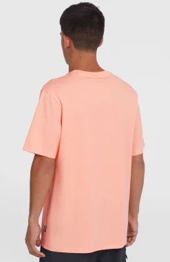Homme O'Neill T-Shirts|Protection Anti-Uv-HommesT-shirt Original Cali Logo| Rose