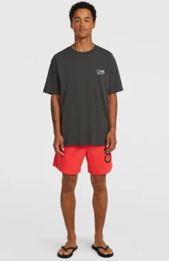 Homme O'Neill T-Shirts|Protection Anti-Uv-HommesT-shirt Original Cali| Gris