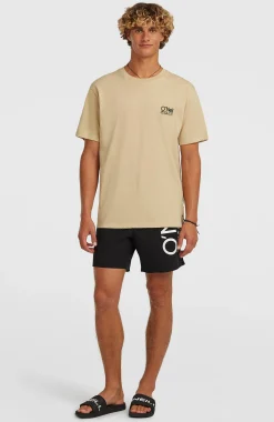 Homme O'Neill T-Shirts|Protection Anti-Uv-HommesT-shirt Original Cali| Beige