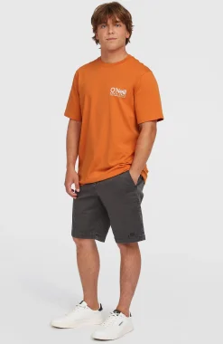 Homme O'Neill T-Shirts|Protection Anti-Uv-HommesT-shirt Original Cali Logo| Orange