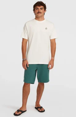 Homme O'Neill T-Shirts|Protection Anti-Uv-HommesT-shirt O'Riginals Badge| Blanc