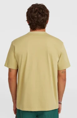Homme O'Neill T-Shirts|Protection Anti-Uv-HommesT-shirt O'Riginals Circle Surfer| Beige
