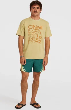 Homme O'Neill T-Shirts|Protection Anti-Uv-HommesT-shirt O'Riginals Circle Surfer| Beige
