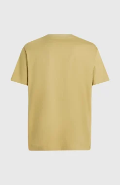Homme O'Neill T-Shirts|Protection Anti-Uv-HommesT-shirt O'Riginals Circle Surfer| Beige