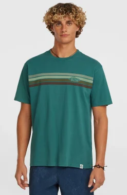 Homme O'Neill T-Shirts|Protection Anti-Uv-HommesT-shirt O'Riginals Front-Stripe| Vert