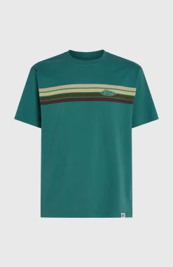 Homme O'Neill T-Shirts|Protection Anti-Uv-HommesT-shirt O'Riginals Front-Stripe| Vert