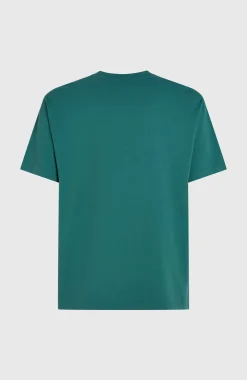 Homme O'Neill T-Shirts|Protection Anti-Uv-HommesT-shirt O'Riginals Front-Stripe| Vert