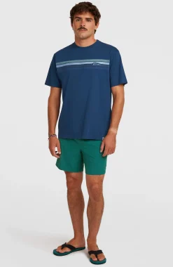 Homme O'Neill T-Shirts|Protection Anti-Uv-HommesT-shirt O'Riginals Front-Stripe| Bleu