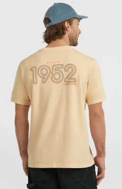 Homme O'Neill T-Shirts|Protection Anti-Uv-HommesT-shirt O'Riginals Retro Back-Print| Beige