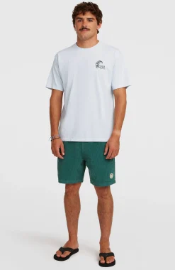 Homme O'Neill T-Shirts|Protection Anti-Uv-HommesT-shirt O'Riginals 70s Graphic| Bleu