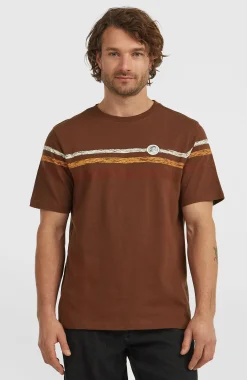 Homme O'Neill T-Shirts|Protection Anti-Uv-HommesT-shirt O'Riginals Stripe| Brun