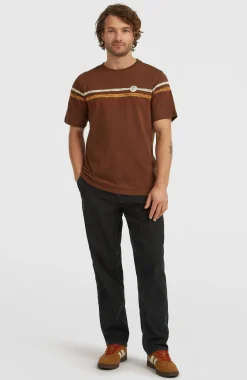 Homme O'Neill T-Shirts|Protection Anti-Uv-HommesT-shirt O'Riginals Stripe| Brun