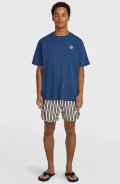 Homme O'Neill T-Shirts|Protection Anti-Uv-HommesT-shirt O'Riginals Vintage Graphic| Bleu