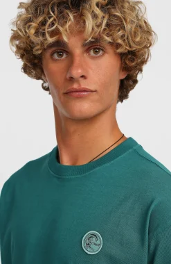 Homme O'Neill T-Shirts|Protection Anti-Uv-HommesT-shirt O'Riginals Vintage Graphic| Vert