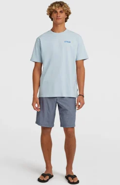 Homme O'Neill T-Shirts|Protection Anti-Uv-HommesT-shirt Polygiene Cotton Graphic| Bleu