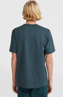 Homme O'Neill T-Shirts|Protection Anti-Uv-HommesT-shirt Small Chest Print| Bleu