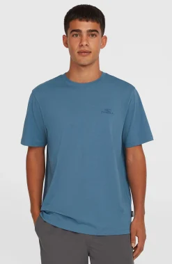 Homme O'Neill T-Shirts|Protection Anti-Uv-HommesT-shirt Small Logo| Bleu