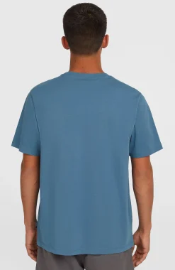 Homme O'Neill T-Shirts|Protection Anti-Uv-HommesT-shirt Small Logo| Bleu