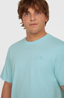 Homme O'Neill T-Shirts|Protection Anti-Uv-HommesT-shirt Small Logo| Bleu