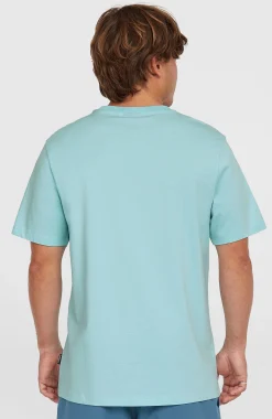 Homme O'Neill T-Shirts|Protection Anti-Uv-HommesT-shirt Small Logo| Bleu