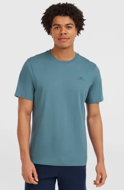 Homme O'Neill T-Shirts|Protection Anti-Uv-HommesT-shirt Small Logo| Bleu