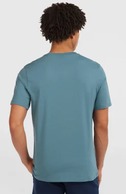 Homme O'Neill T-Shirts|Protection Anti-Uv-HommesT-shirt Small Logo| Bleu