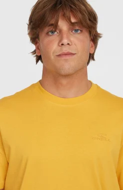 Homme O'Neill T-Shirts|Protection Anti-Uv-HommesT-shirt Small Logo| Jaune
