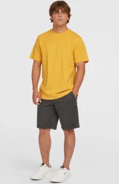 Homme O'Neill T-Shirts|Protection Anti-Uv-HommesT-shirt Small Logo| Jaune