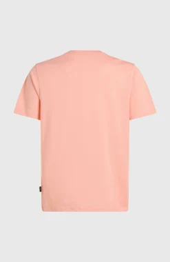 Homme O'Neill T-Shirts|Protection Anti-Uv-HommesT-shirt Small Logo| Rose