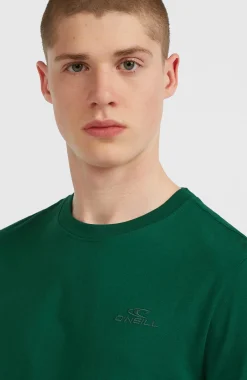 Homme O'Neill T-Shirts|Protection Anti-Uv-HommesT-shirt Small Logo| Vert