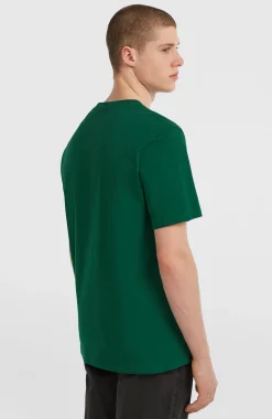 Homme O'Neill T-Shirts|Protection Anti-Uv-HommesT-shirt Small Logo| Vert