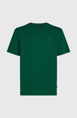 Homme O'Neill T-Shirts|Protection Anti-Uv-HommesT-shirt Small Logo| Vert