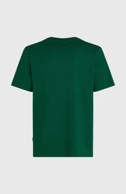Homme O'Neill T-Shirts|Protection Anti-Uv-HommesT-shirt Small Logo| Vert